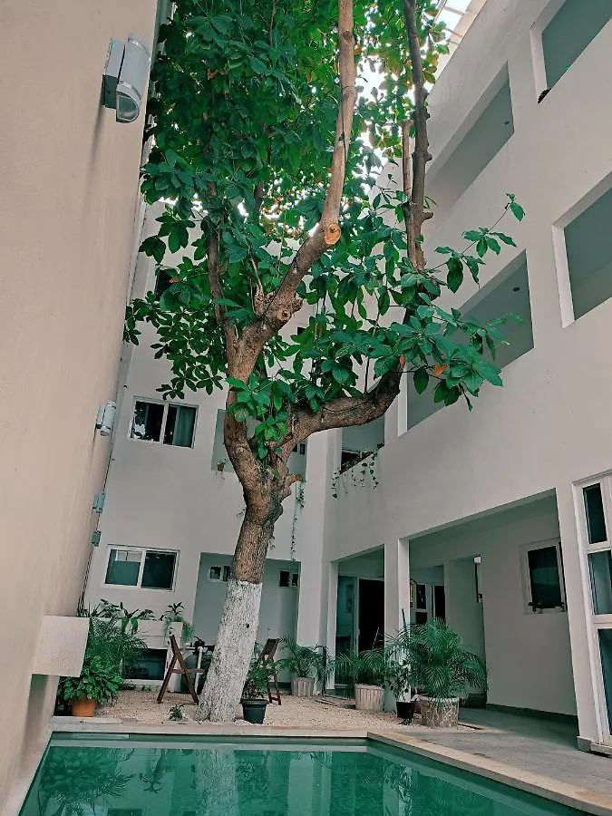 Cozy Studios Zazil-Ha Playa del Carmen 0*,