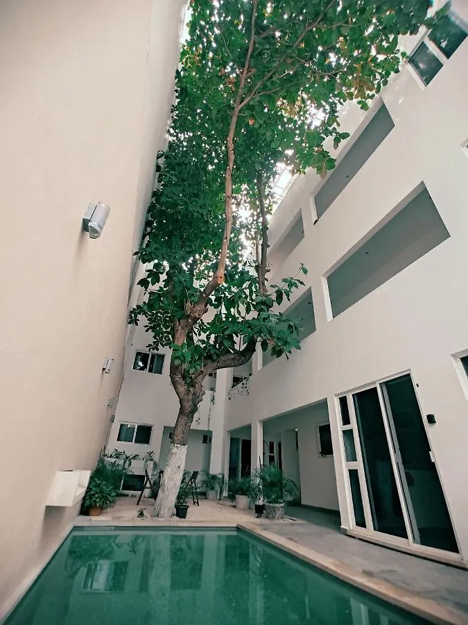 Cozy Studios Zazil-Ha Playa del Carmen Mexico